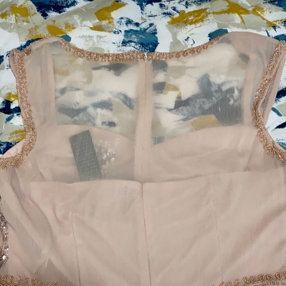 Adrianna Papell Blush Bodice Chiffon Gown Size 6 - Picture 7 of 8